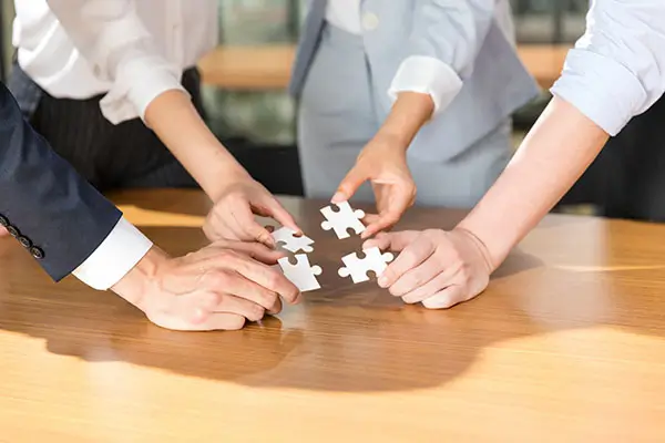 虫科字笔顺怎么写，正确写法详解