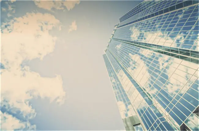 法律的第31条是什么