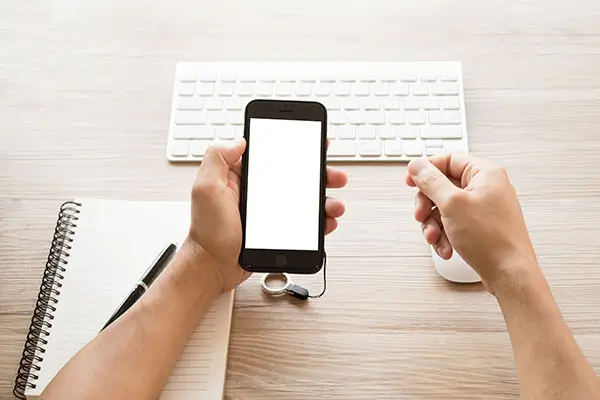 法律人员三要素是什么